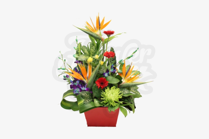 Love Birds Flowers - Bouquet, transparent png