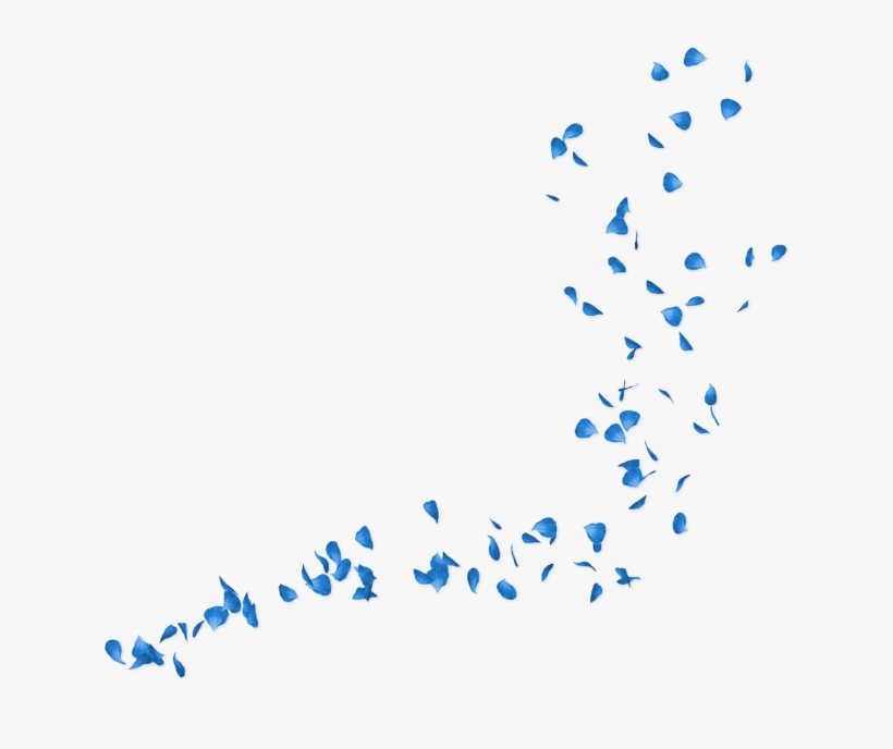 Flower Petals Png Download - Blue Petals Png, transparent png