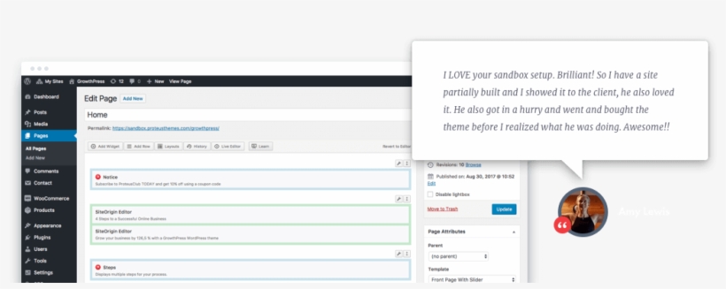 Test Any Wordpress Theme Testimoanial Wp Admin, transparent png