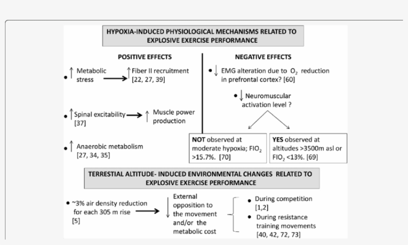 Hypoxia Ascent And/or Exposition-induced Physiological, transparent png