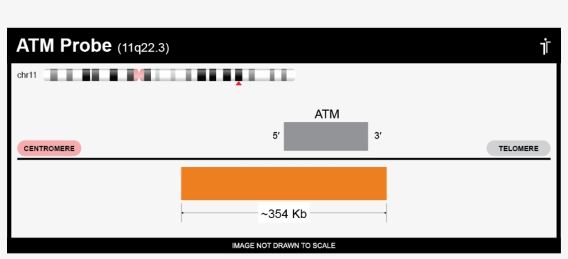 Available As Ce Marked Product In Orange, transparent png