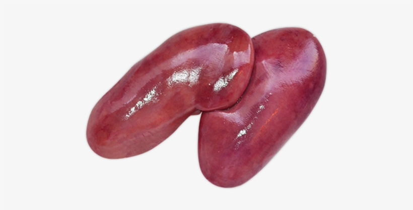 Pork Kidney, transparent png