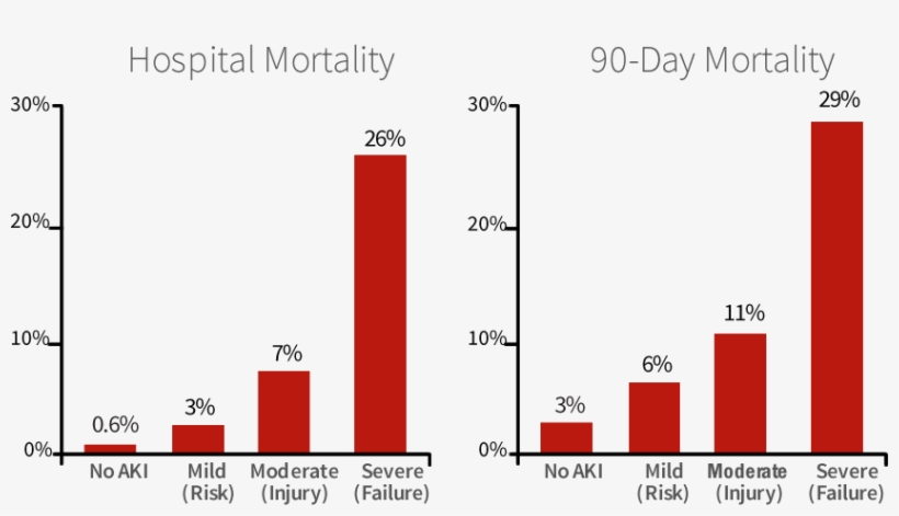 Acute Kidney Injury Significantly Increases The Mortality, transparent png