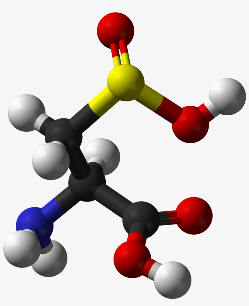 L Cysteine Sulfinic Ac, transparent png
