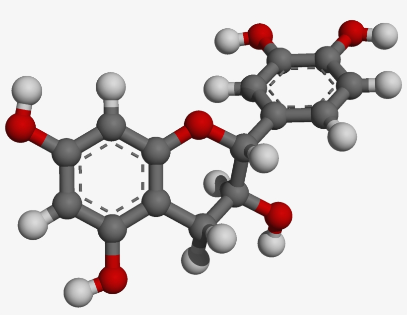 Catechin, transparent png
