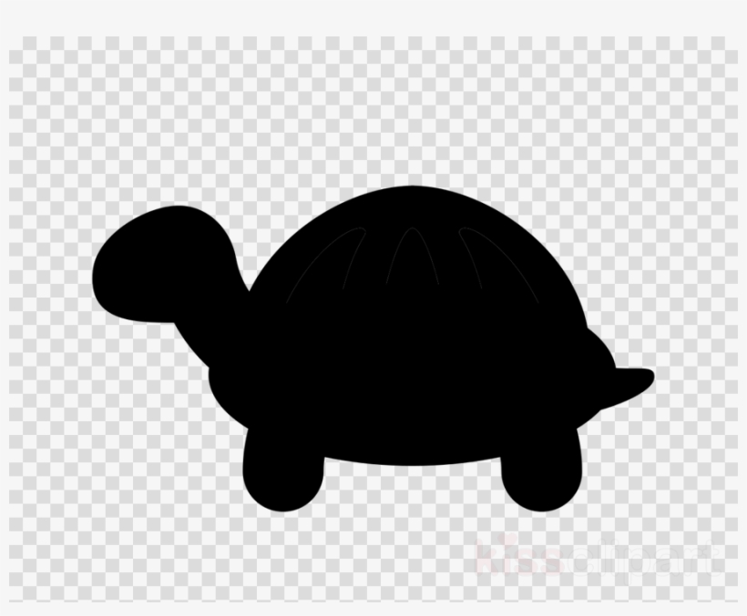 Tortoise Clipart Tortoise Sea Turtle, transparent png