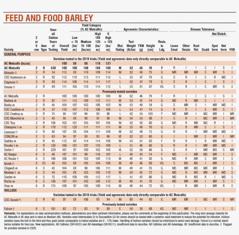 1 Feed And Food Barley, transparent png
