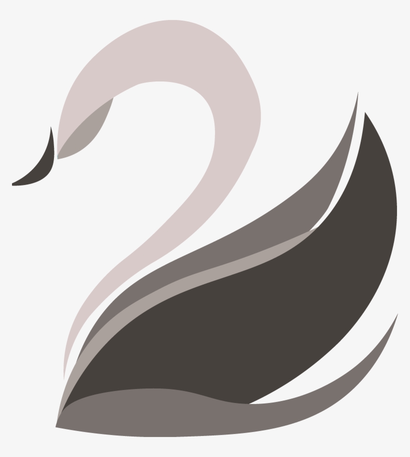 Swan, transparent png