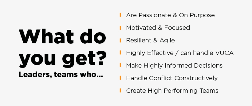 What Do You Get Higher Purpose Based Leadership, transparent png