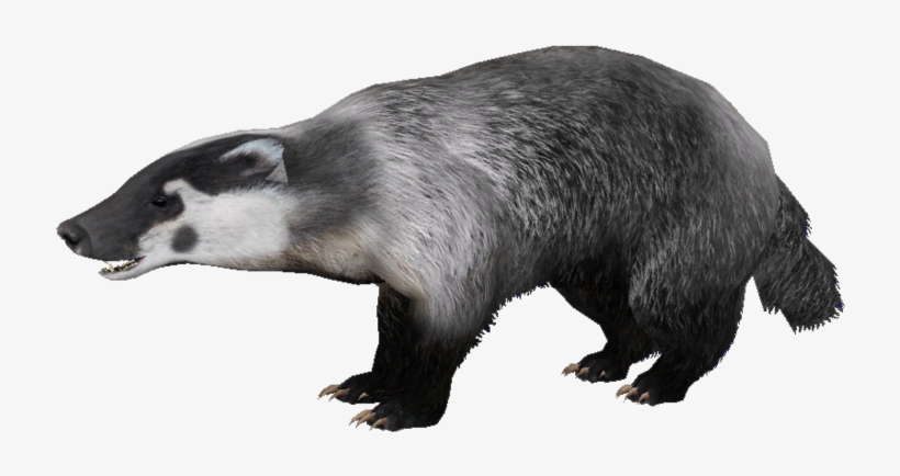 Badger Png, Download Png Image With Transparent Background,, transparent png