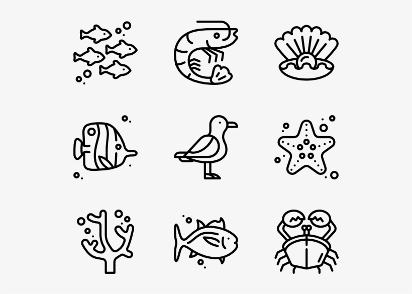 Sea Life, transparent png