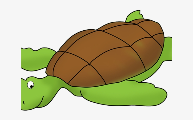 Sea Life Clipart Hawaiian Animal, transparent png