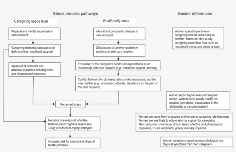 Our Caregiving Stress Model Adapted From The Model, transparent png