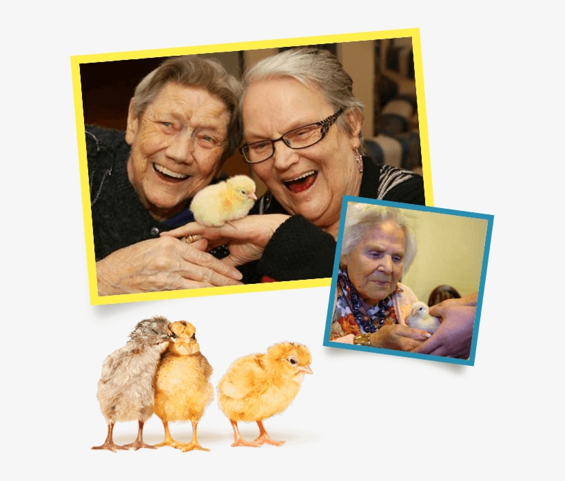 You Might Like To Try Some Of Our Fundraising Ideas, transparent png