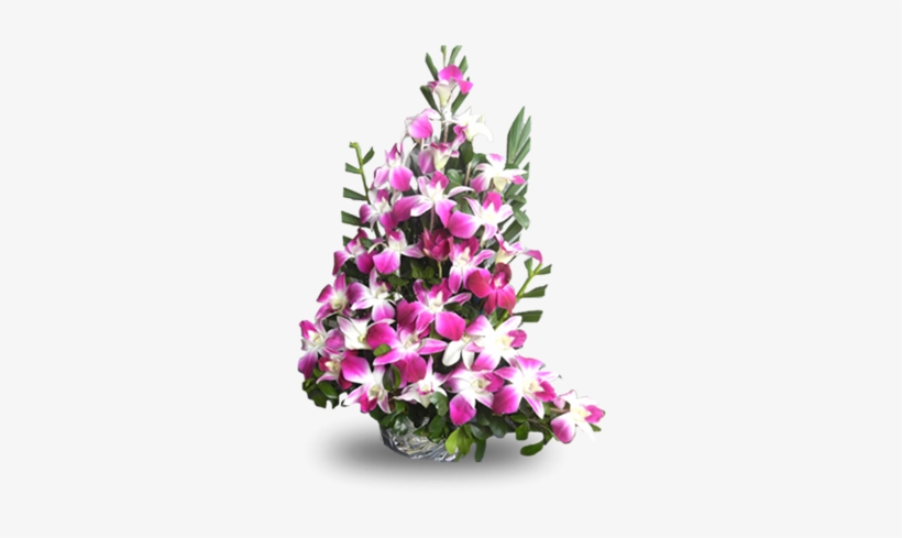 Picture Of Pink Orchid Arrangements, transparent png