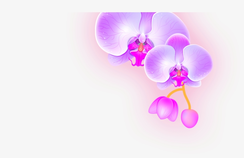 Contact Form, transparent png