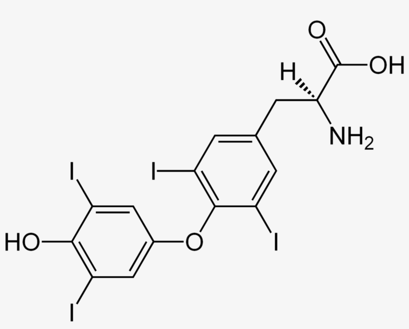 -thyroxine Structural Formulae, transparent png