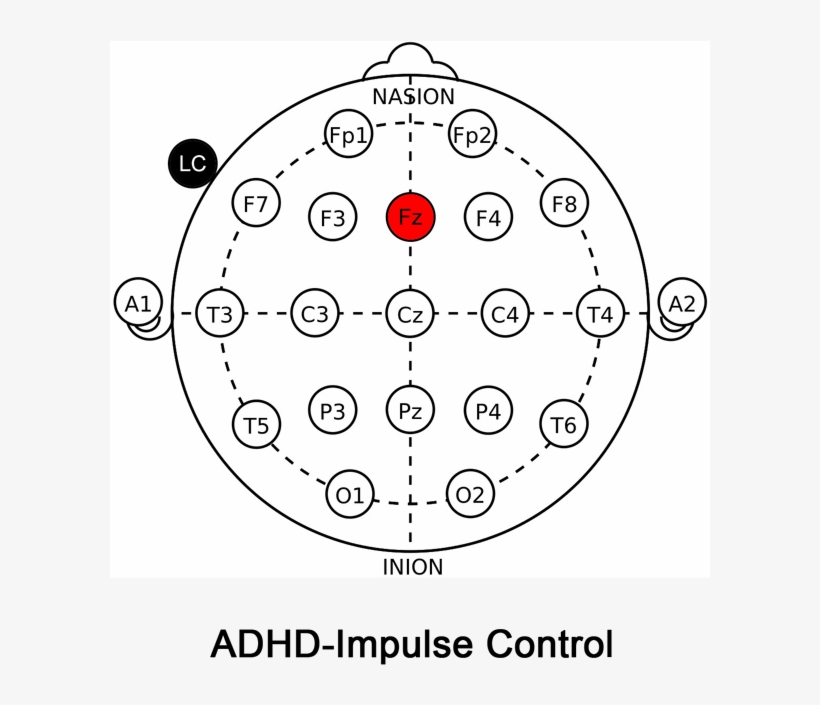 Adhd Small, transparent png