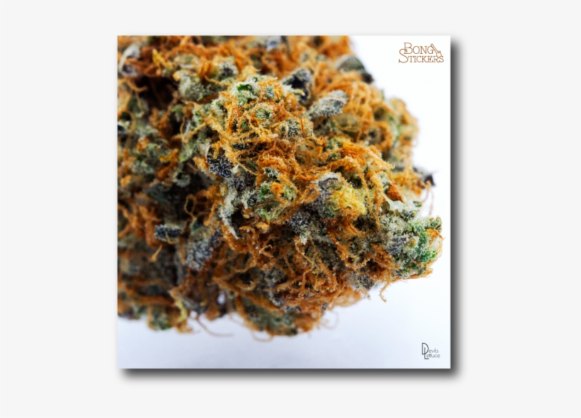 Dank Bud Weed Sticker, transparent png