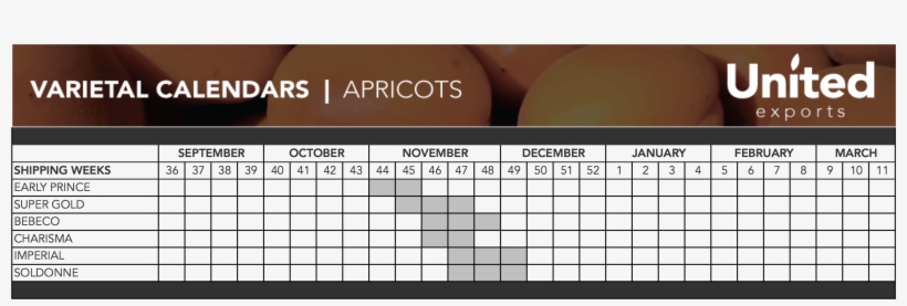 Click Here To Read More On The Oz Peach/nectarine, transparent png