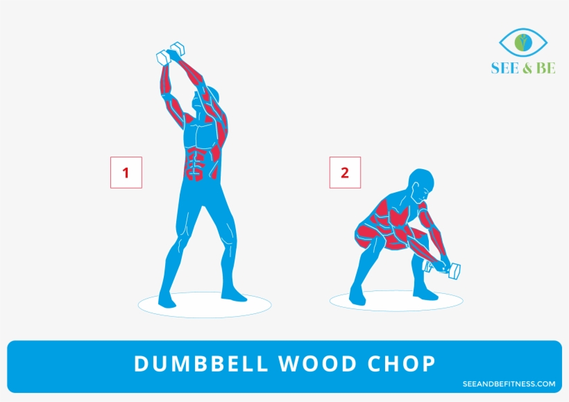 The Dumbbell Wood Chop Is Another Full Body Exercise, transparent png