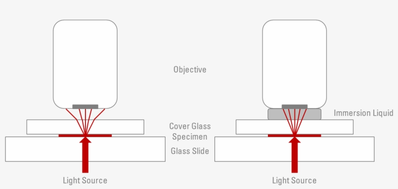 Using Oil, Glycerol, Or Water To Overcome Some Of The, transparent png