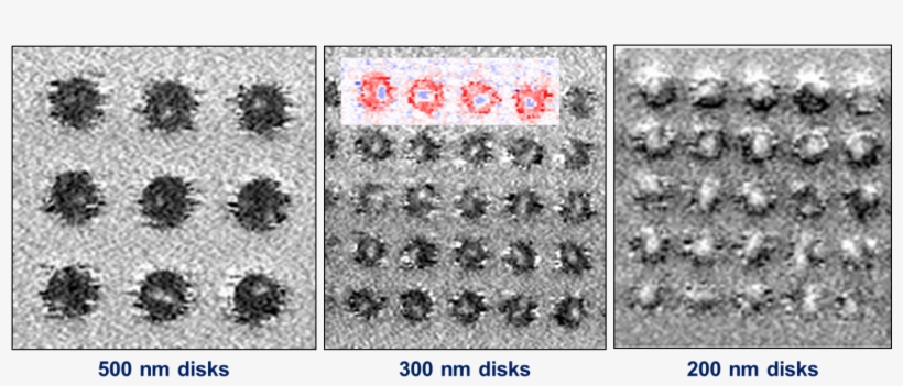 2 Black And White, transparent png