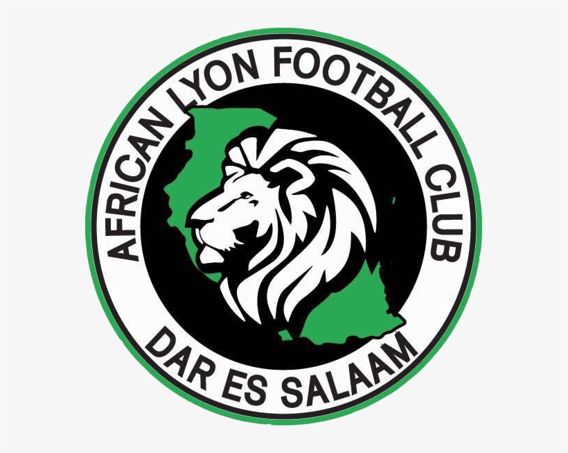 African Lyon Old Png, transparent png