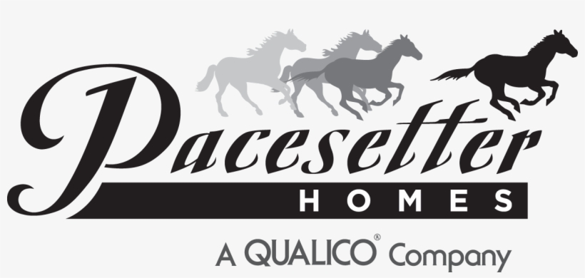 Pharoah, transparent png