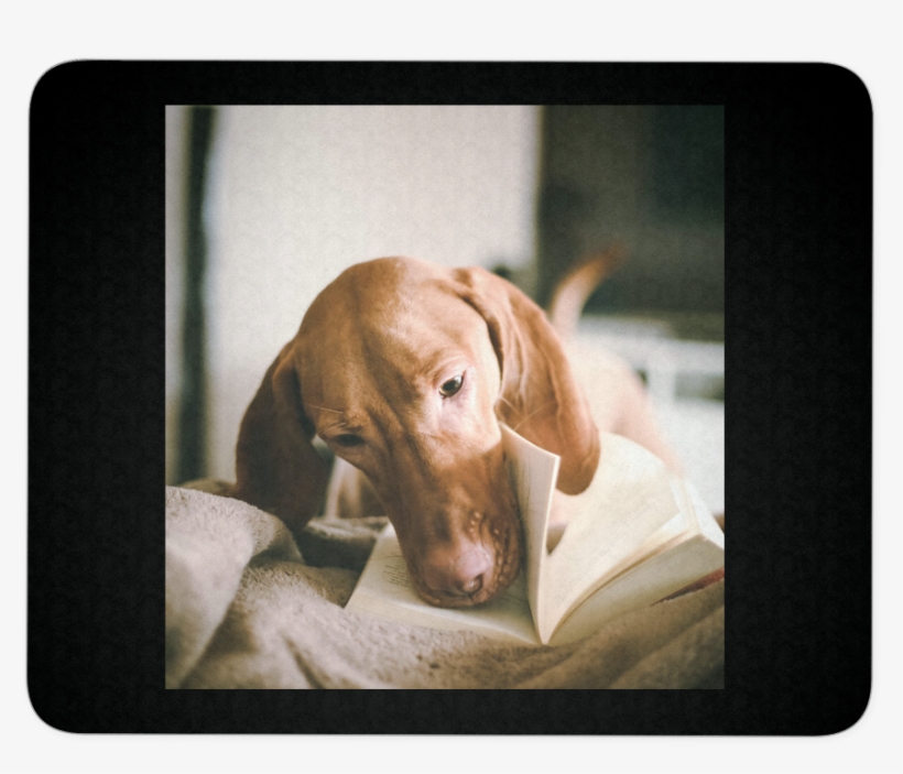 Dashound Mouse Pad, transparent png