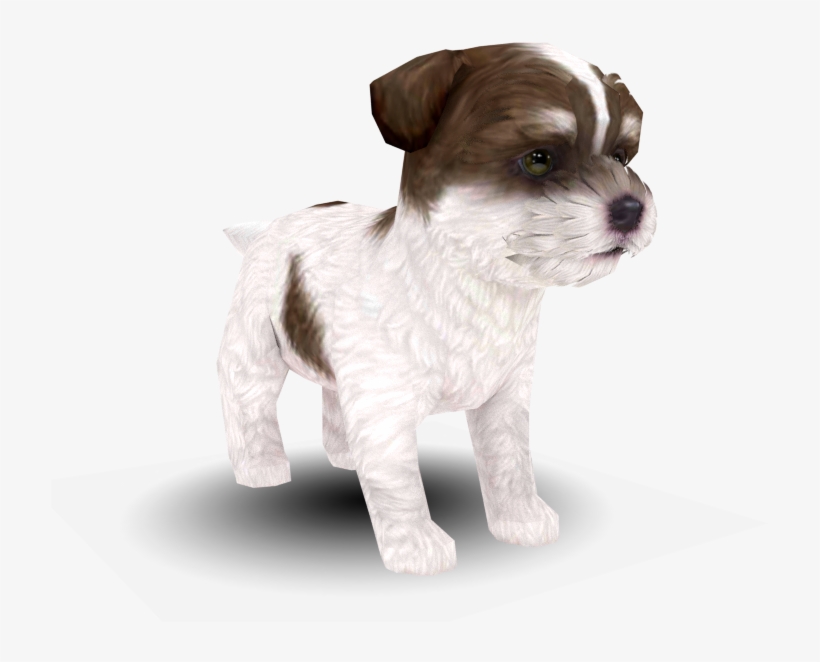 Download Zip Archive, transparent png