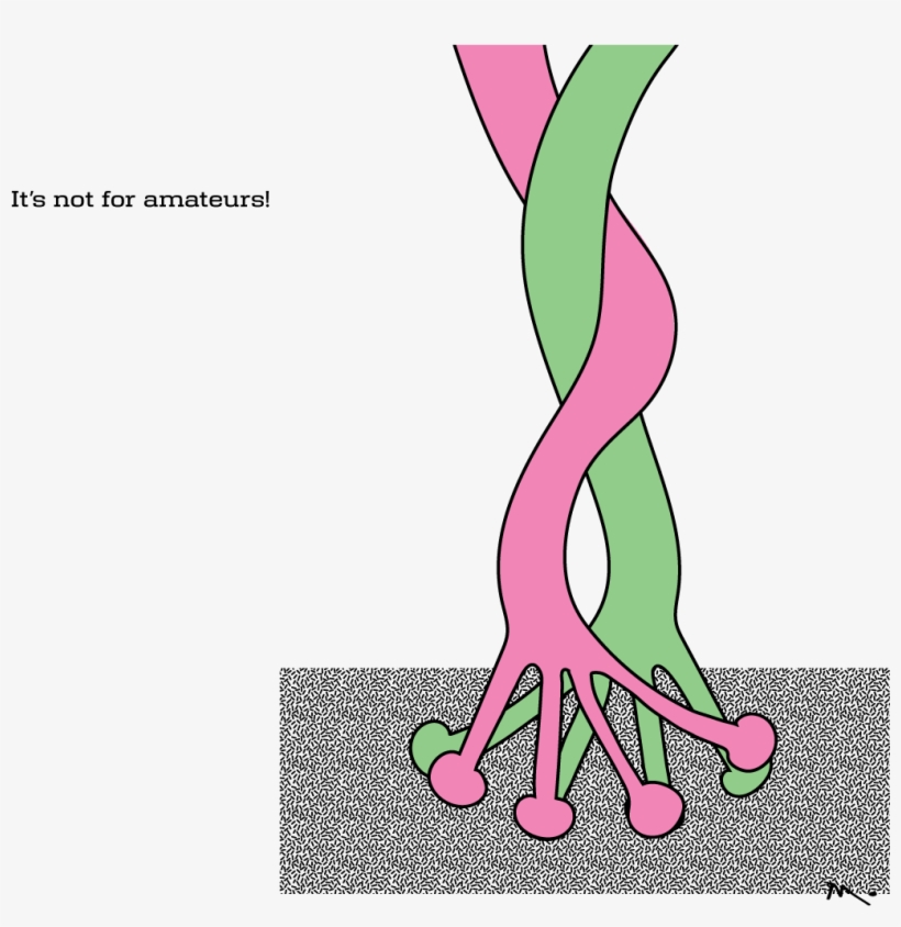 Tie The Knot, transparent png