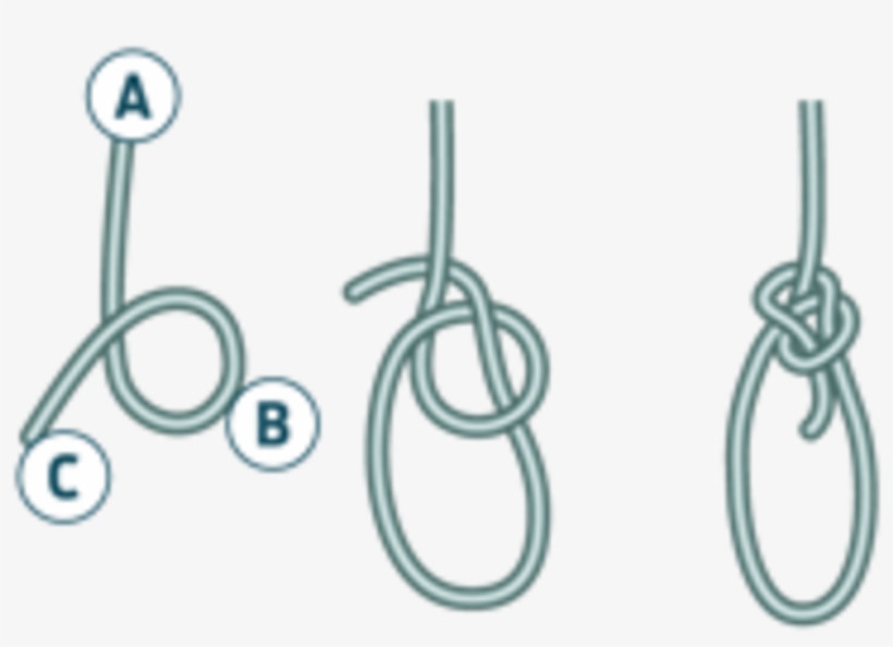 To Tie The Knot, Make The Rabbit Jump Out Of The Hole,, transparent png