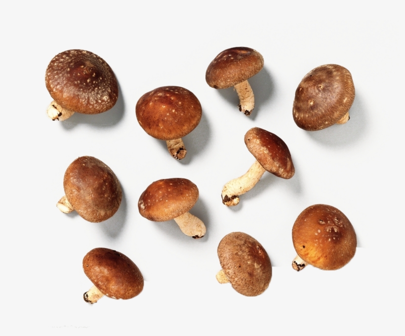 Mushroom Vegetable Shiitake Real Products, transparent png