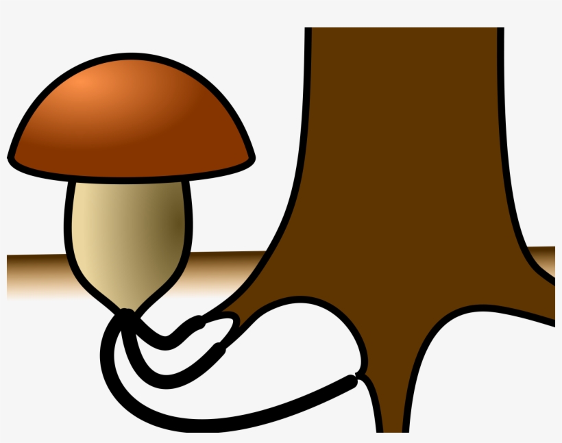 [thumbnail For Mycorrhizal Symbiosis Fungus By Natr, transparent png