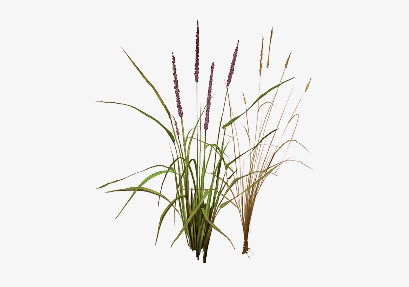 Fox Tail Png, transparent png