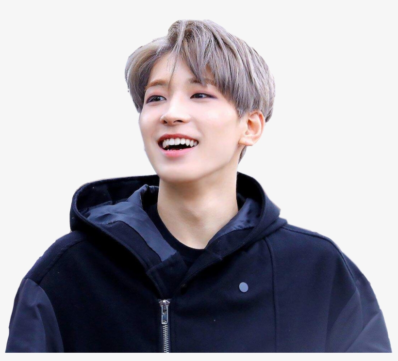 Wonwoo Png, transparent png