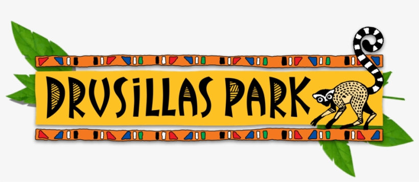 Plan Your Visit, transparent png