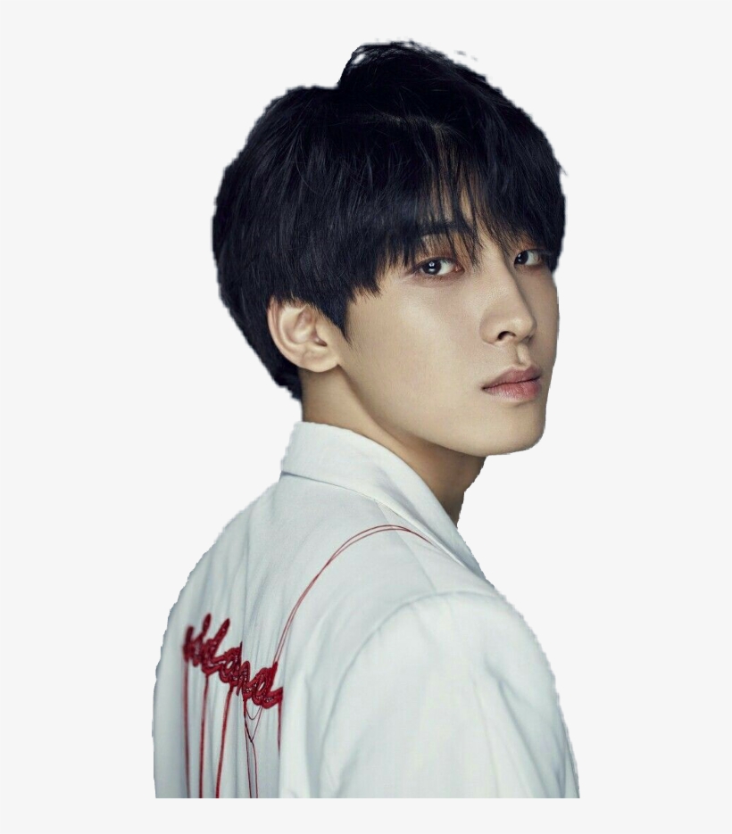 Wonwoo Png, transparent png