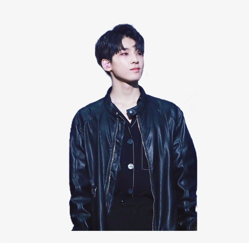 Wonwoo Png, transparent png