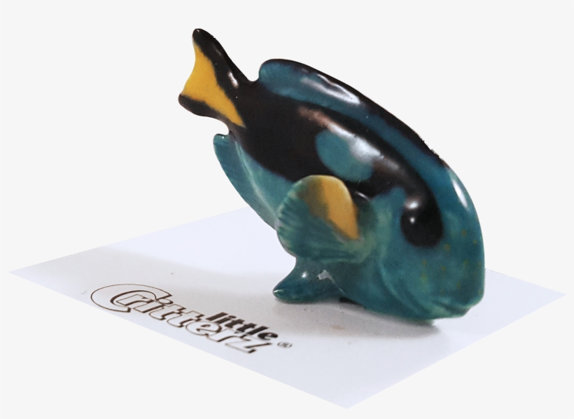 "hippo" Blue Tang Fish, transparent png