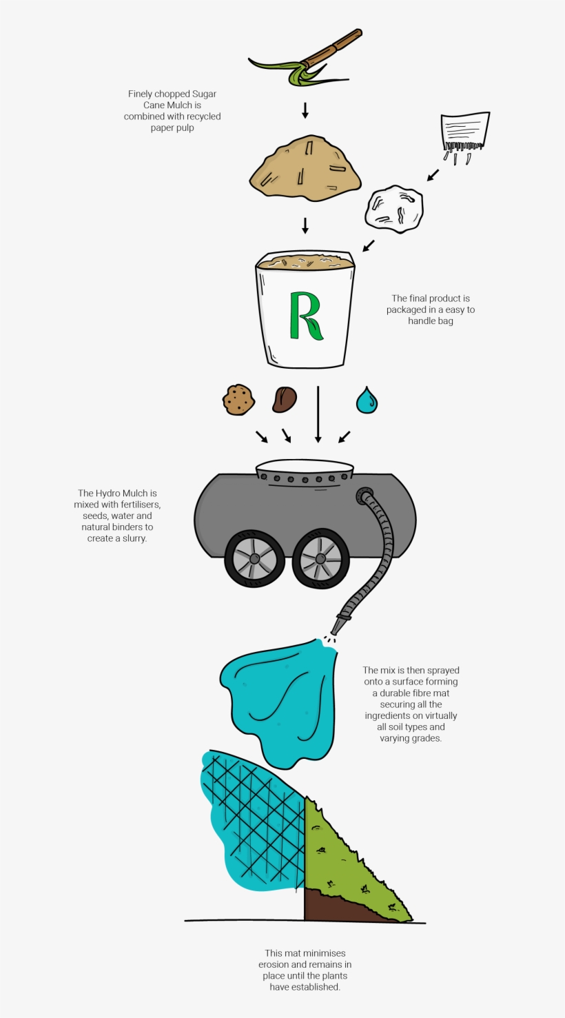 Here Is An Example Of Vegetation Growth In Just A 7-week, transparent png