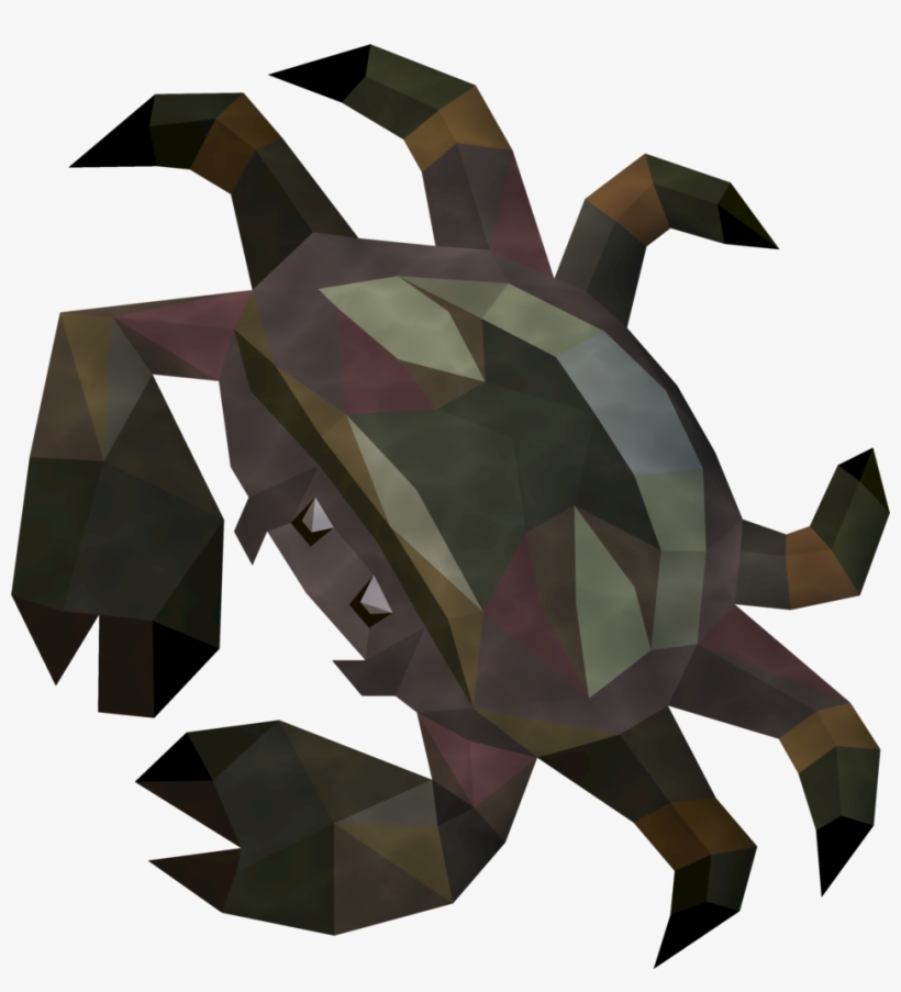 Raw Heim Crab Detail, transparent png