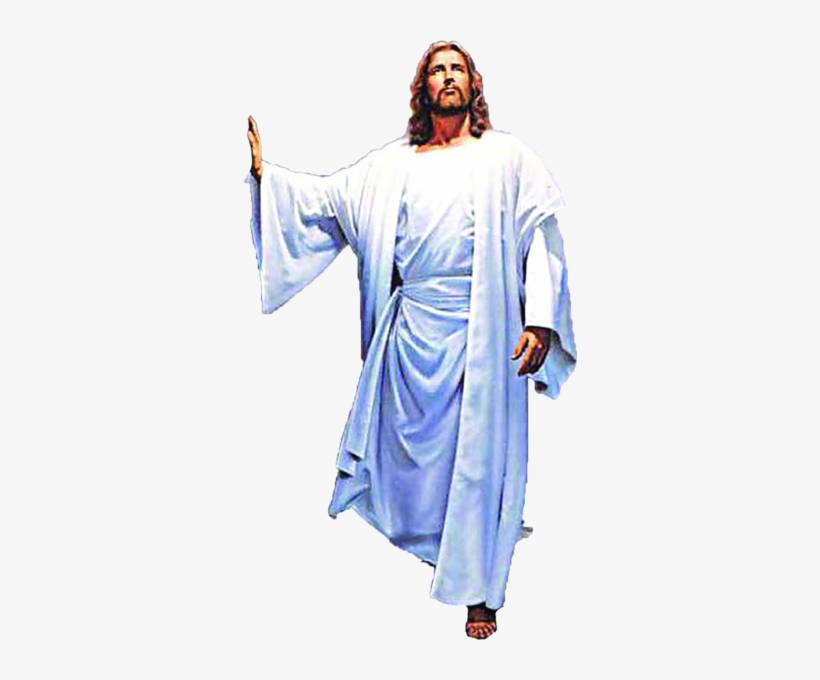 Coming Out Of My Cave Meme, transparent png