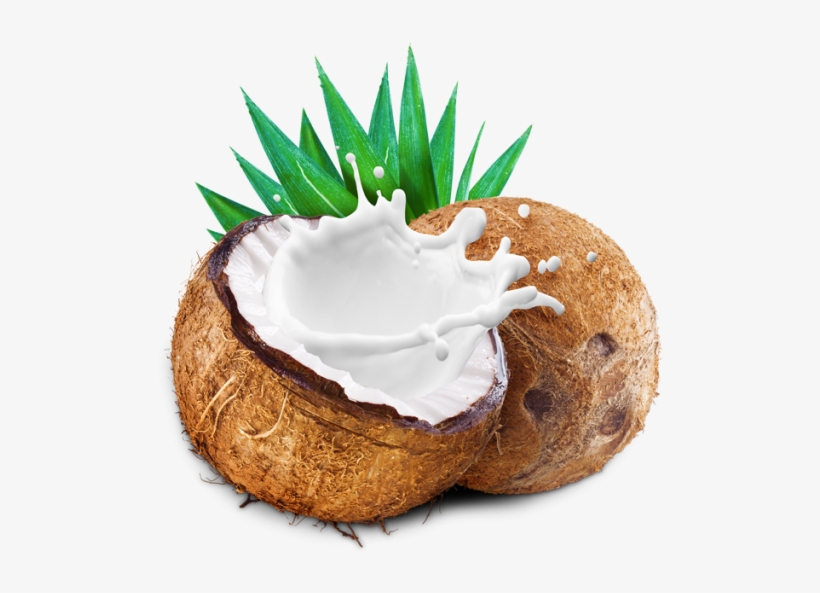 Coconut With Coconut Milk Splash - Leite De Coco Em Po Pura Vida, transparent png
