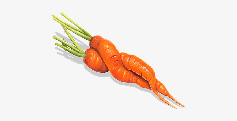Baby Carrot, transparent png