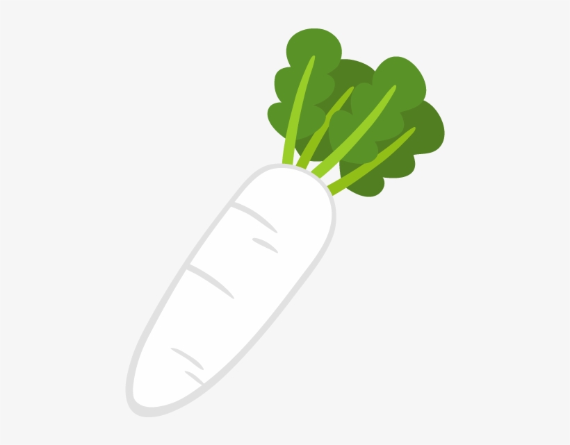 Radish, transparent png