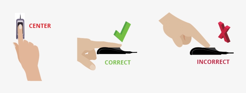 How To Place Your Finger On Fingerprint Reader - Fingerprint, transparent png
