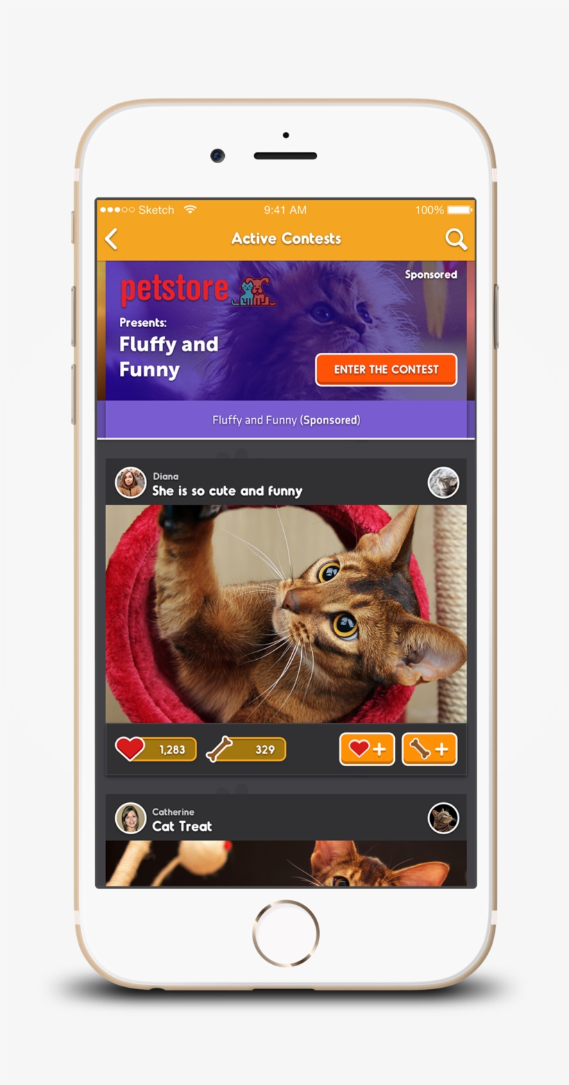 Enter Contests To Win Prizes - Dog, transparent png