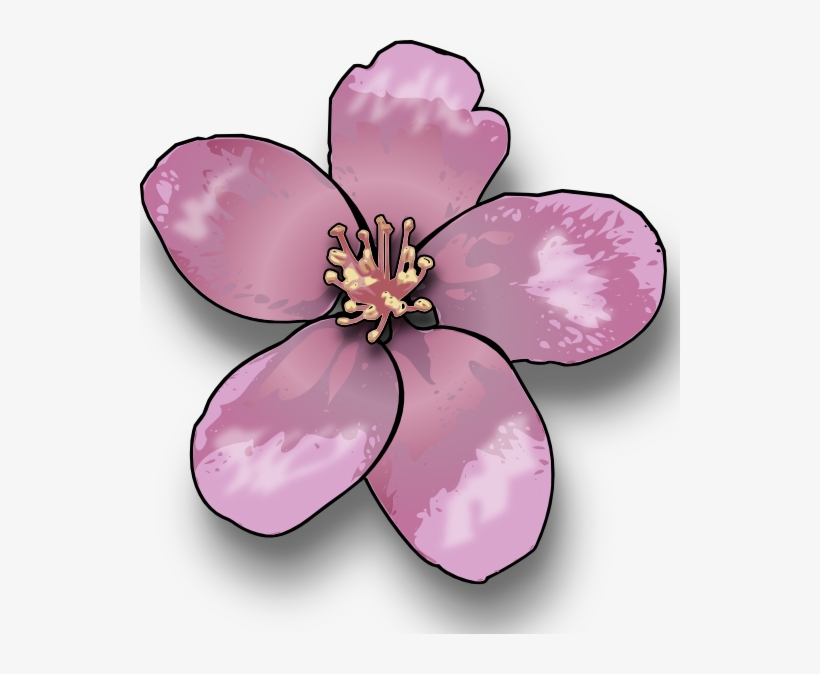 Sakura Clipart Apple Blossom - Blossoms Clipart, transparent png